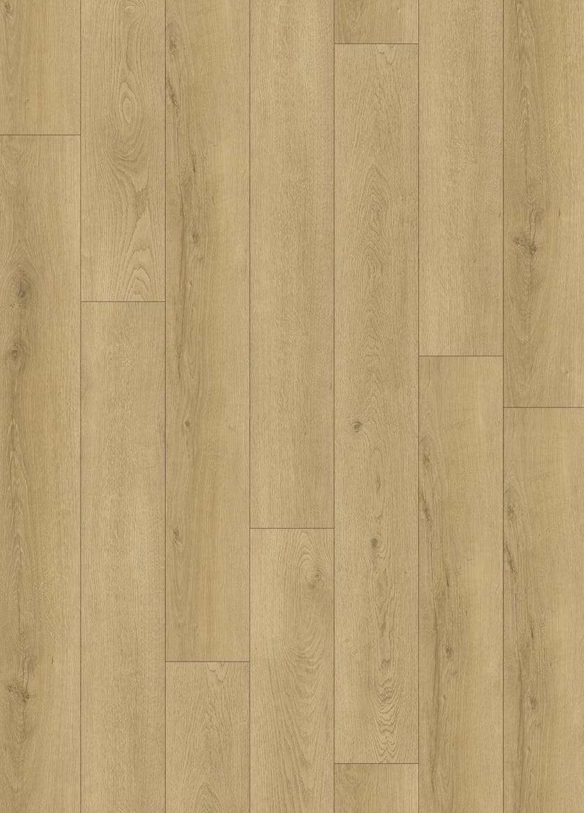 Softstep SYNQ Grand Cru