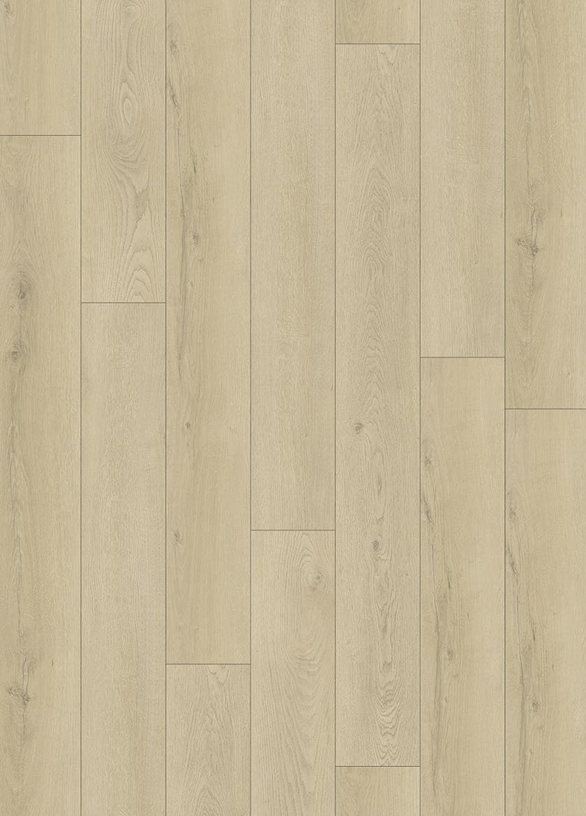 Softstep SYNQ Tryffel