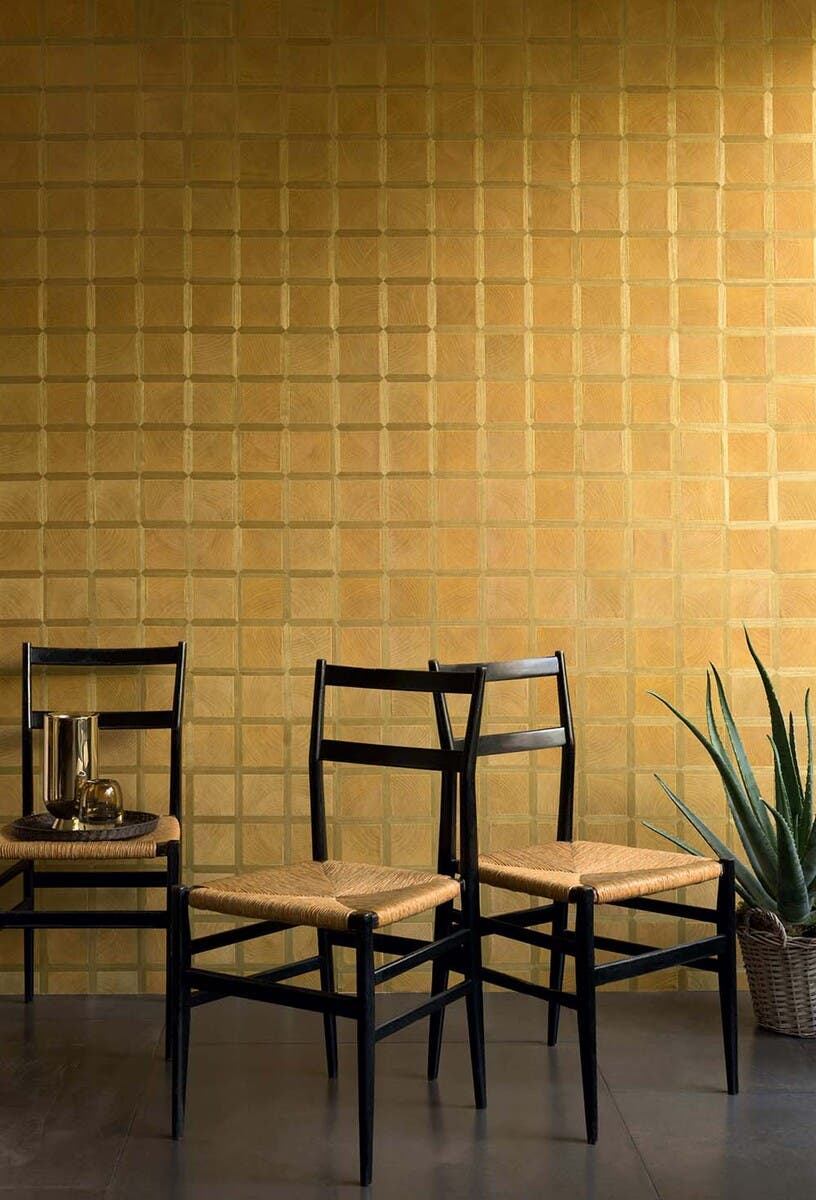 Essences de Bois Caïssa Paulownia wood RM43420