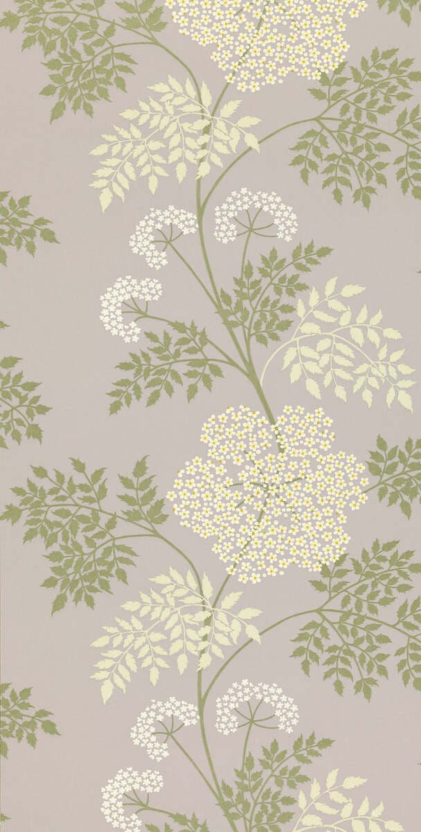 Cowparsley Amethyst Sanderson One Sixty Wallp