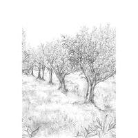 LAURIS INT NOIR/BLANC PANORAMAS 2