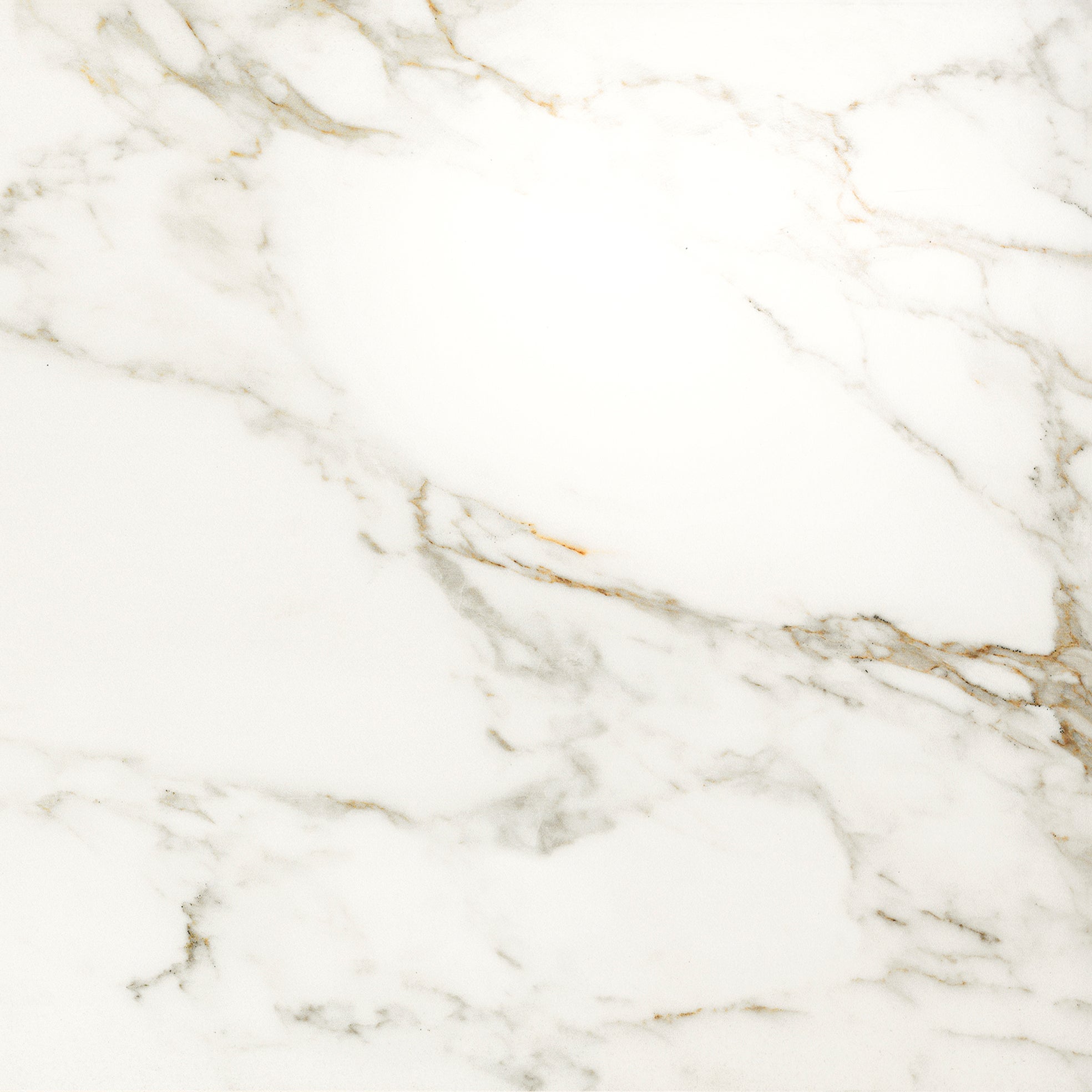 Invite Calacatta gold polerad 60x60 såg