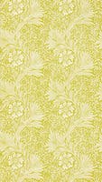 Marigold Chartreuse Cornubia Wallpapers