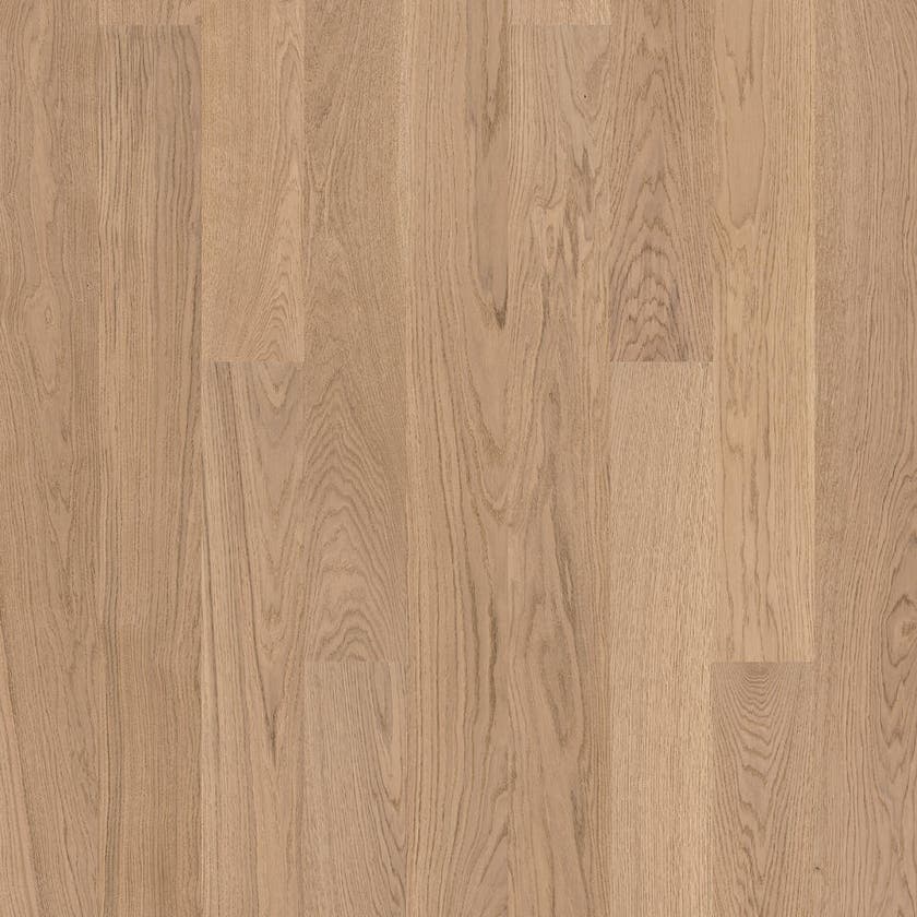 Shade | Ek Misty Grey Plank XT