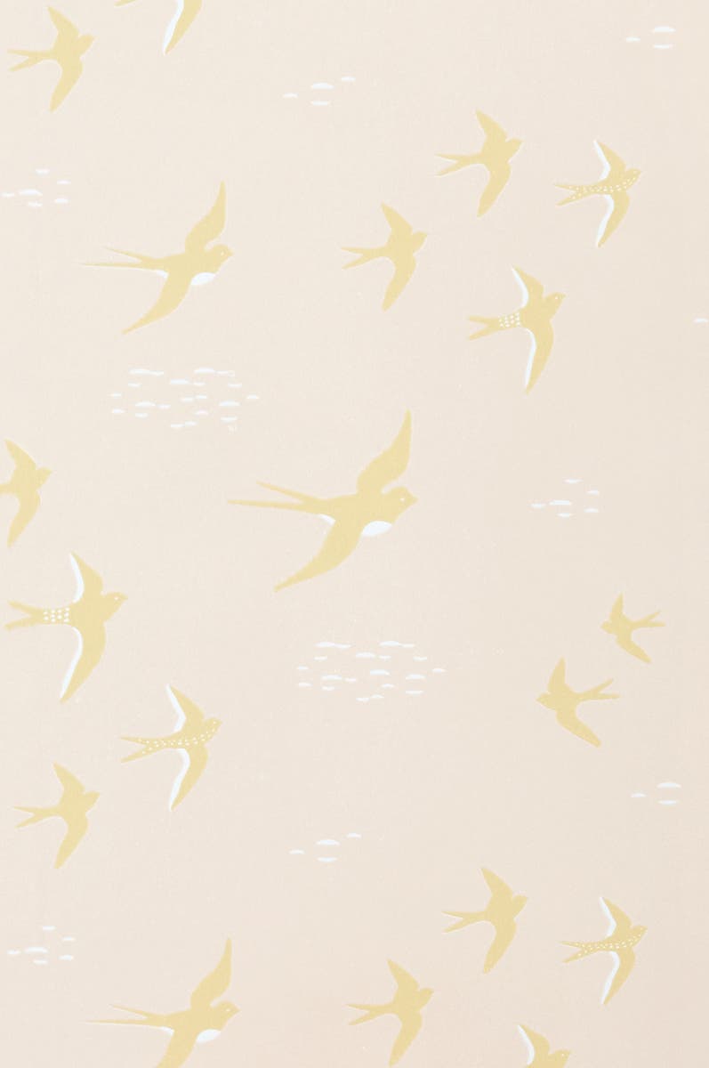 Follow the wind Wish upon your dreams