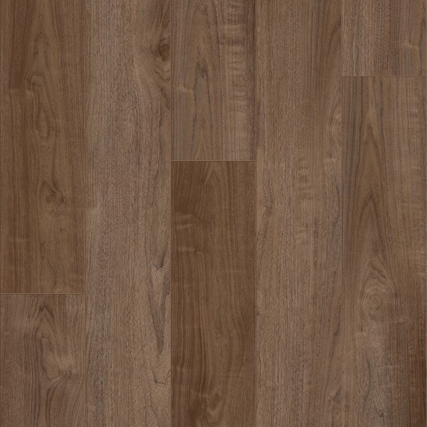 Kingdom | ProPlus 1500 Series