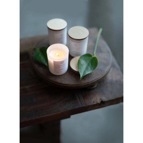 Yasu Doftljus Aromatherapy 3-pack