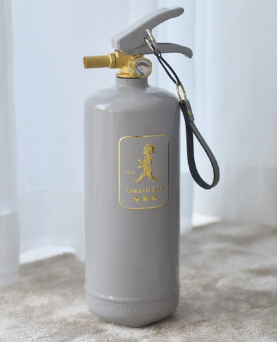 Brandsläckare 2 kg Grå/Guld