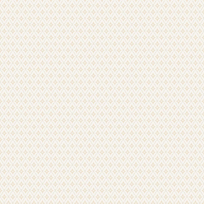 Lillstjärna Vit/Rosa Småmönstrat