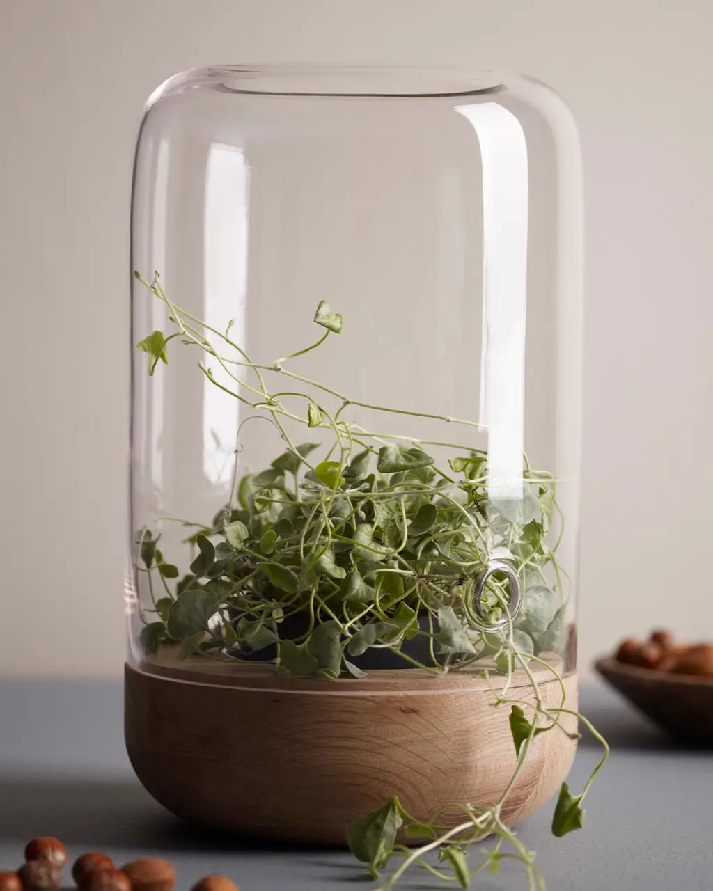 Kalkgrå 10342 - Jotun Lady Pure Color 10L