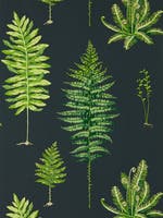 Fernery Botanical Green/C Glasshouse Wallpapers