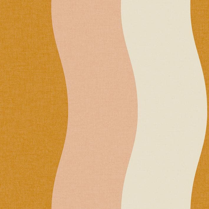 Sandy Orange Rose