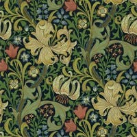 Golden Lily Indigo Morris 160th Anniversary