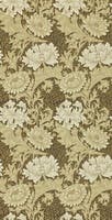 Chrysanthemum Bullrush Archive II Wallpapers