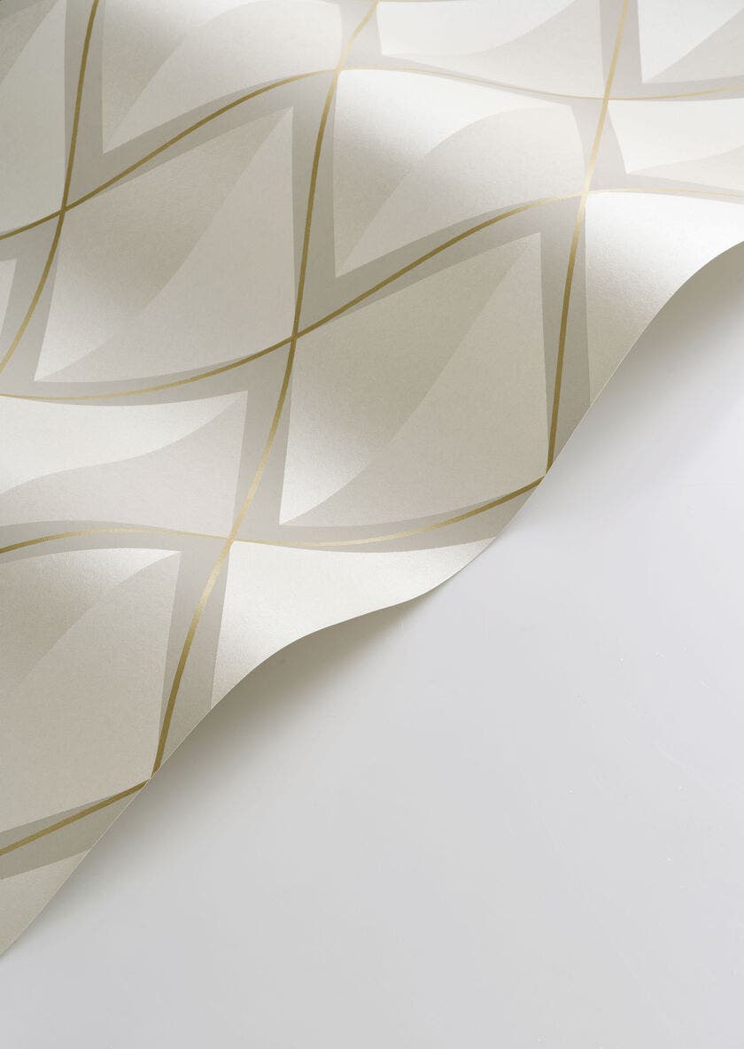 CHAPLIN GREGE ANNEES FOLLES