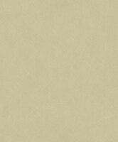 NEST VERT PISTACHE NEST