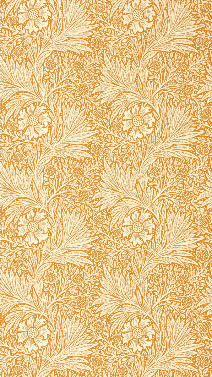 Marigold Orange Cornubia Wallpapers