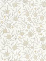 Pure Fruit Horned Poppy / Pure Morris North Wallpap