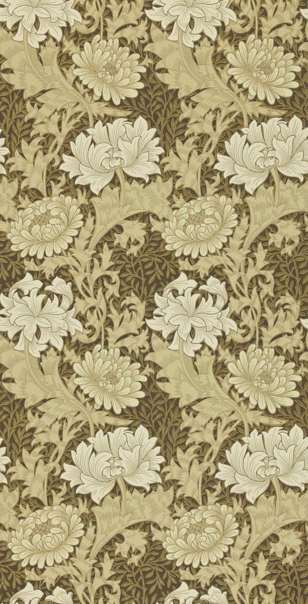 Chrysanthemum Bullrush Archive II Wallpapers