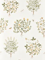 Thyme Walk Lichen/Gooseberry