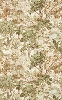 The Stumpery Lichen