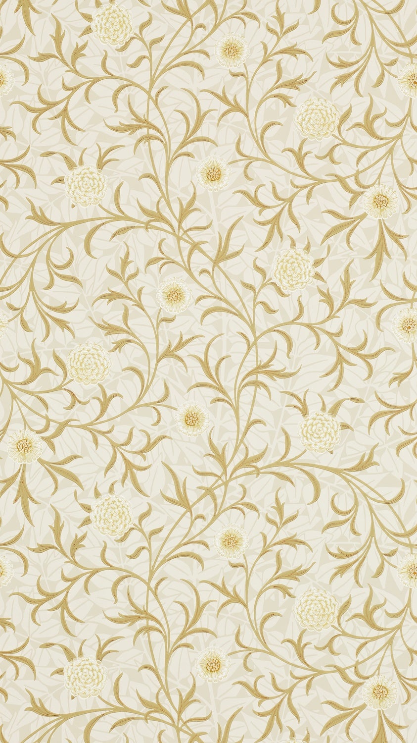 Morris & Co - Scroll Vellum/Biscuit Morris and Friends Wallpa
