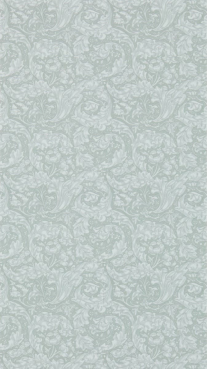 Bachelors Button Silver (Outlet)