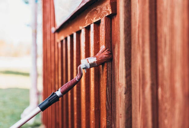 Elite Vinklad Rödfärgspensel 120mm