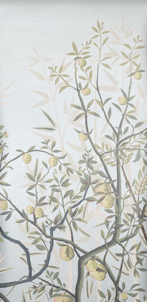 Manuel Canovas - La Voliere Aqua