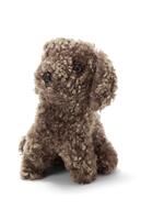 Curly Mini Mjukdjur Lammskinn