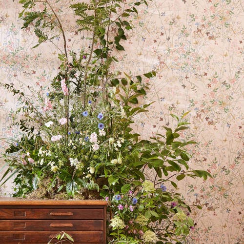 Sanderson - Bambi Neapolitan Disney Home X Sanderson W