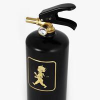 Brandsläckare 2 kg Svart/Guld