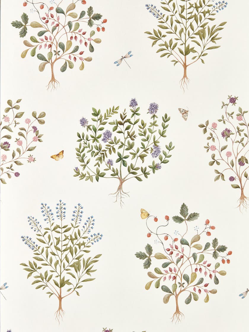 Sanderson - Thyme Walk Damson/Quince