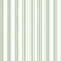 Ticking Stripe