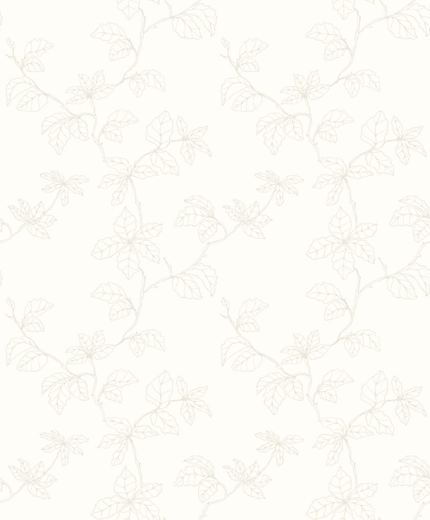 Fiona - Shadow of Branches