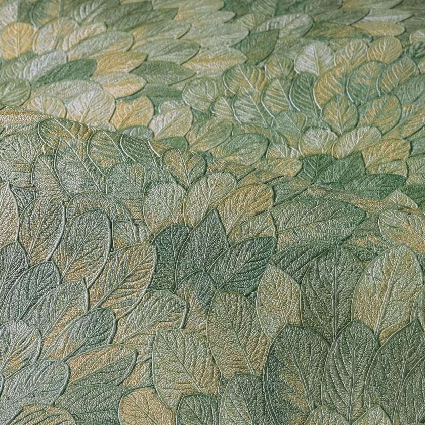 FEIJOA CYPRÈS MODERNISMO