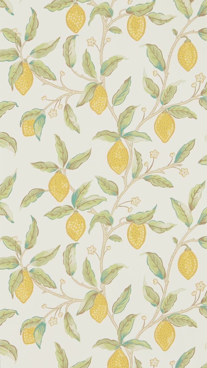 Lemon Tree Bay Leaf Melsetter Wallpapers