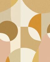 Molly Multicouleurs 200X250 S