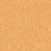 BETON UNI SAVANE BETON 2