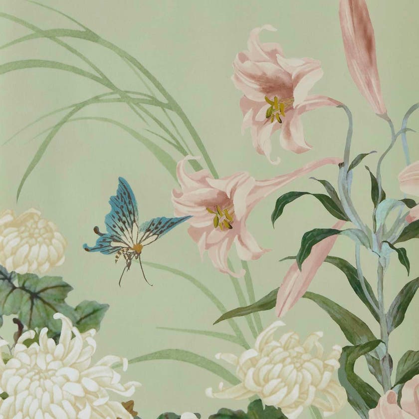 Carma - Wisteria Bloom