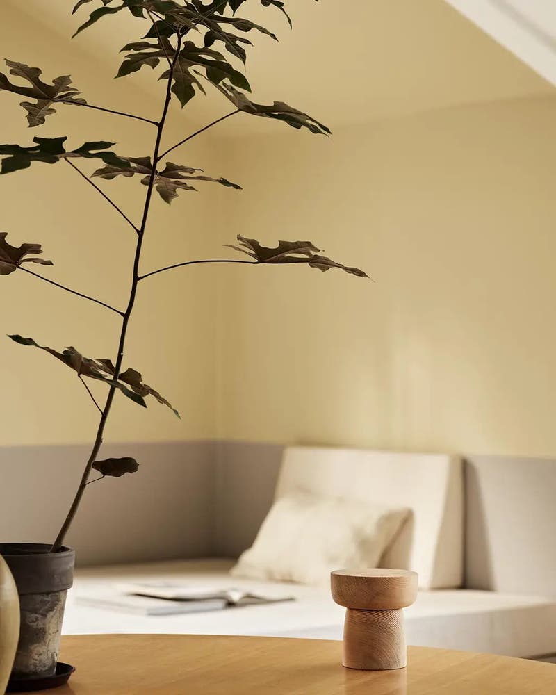 1965 Ginger Tea - Jotun Lady Pure Color