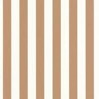 LITTLE LINES CAMEL BASICS