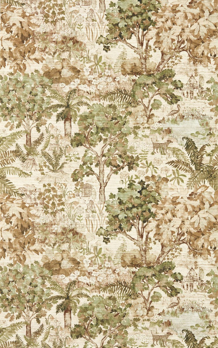 The Stumpery Lichen