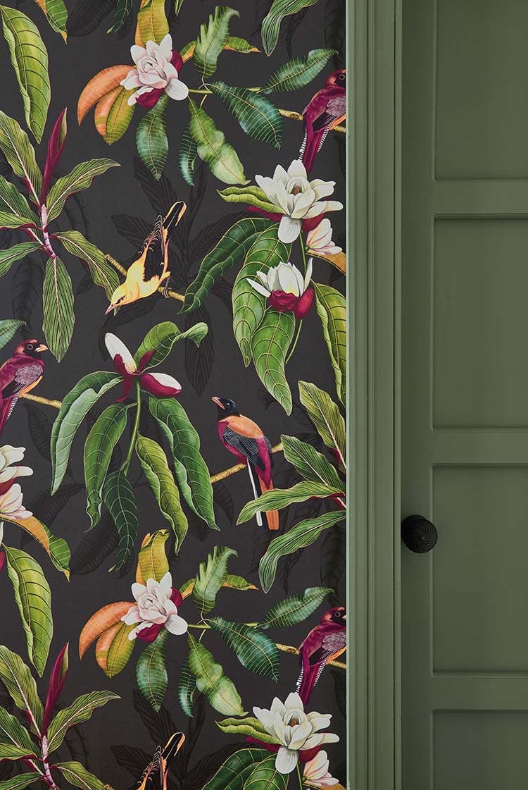 Osborne & Little - Michelia Empyrea Michelia Charocal