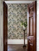 The Stumpery Fern