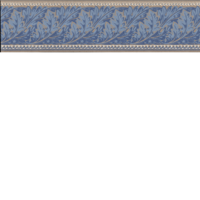 Viktoria II - Kvist/Blå B14-40